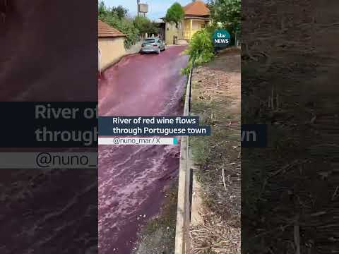 River of red wine flows through Portuguese town #red #portugal