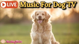 🔴Dog TV Music🎵🐶Calming Music for Dogs🐶💖Separation Anxiety Relief💖🦮Deep Sleep Music for Dogs🔴18