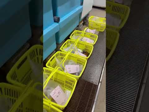 今朝は久しぶりの週末好天で、オキアミ解凍ラッシュ。これから明け方まで混雑いたしますのでご了承ください。1月17日土曜日。