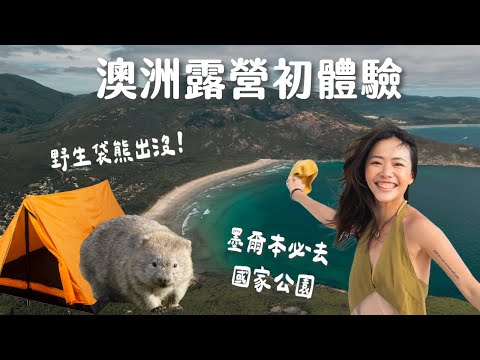 喜歡戶外來墨爾本絕不能錯過這裡！巧遇野生袋熊、秘密海灘、沙丘夕陽...... 澳洲露營初體驗 Vlog | Wilson National Park