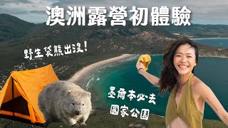 喜歡戶外來墨爾本絕不能錯過這裡！巧遇野生袋熊、秘密海灘、沙丘夕陽...... 澳洲露營初體驗 Vlog | Wilson National Park