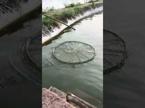 Real outdoor raising net fishing network outdoor grabbing outdoor outdoor explosion net National Da