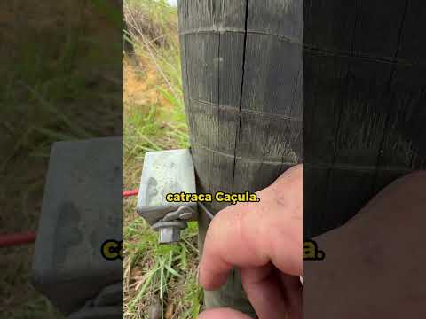 O diferencial da catraca Caçula