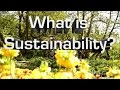 Understanding Sustainability