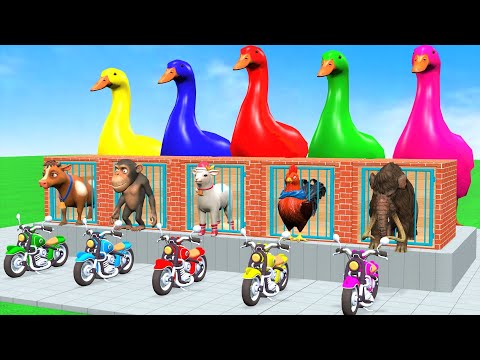 5 Giant Duck, Monkey, Piglet, chicken, dog, dinosaur, Sheep, Transfiguration funny animal 2023