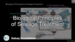 Biological Principles of Sewage Treatment
