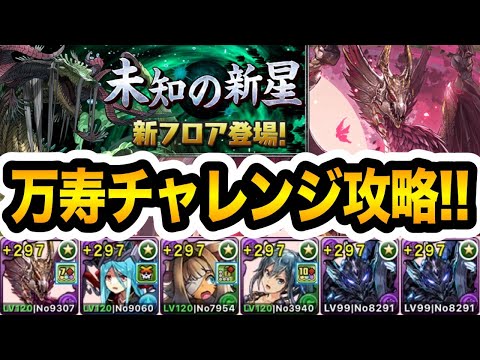 【万寿チャレンジ】メルゼナ×ブラックバードが強すぎる！未知の新星の新フロア『永刻の万龍』を初日で攻略！！！【パズドラ】