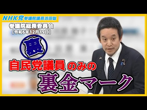 拉致問題と土井たか子、106万円の壁撤廃は詐欺？、兵庫県知事選挙とマスコミ報道の問題点、等について質問　参議院総務委員会2024年12月19日（木）