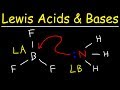 Exploring Lewis Acids and Bases in Organic Chemistry