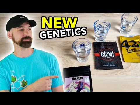 How I’m Starting This Grow... | Will It Work?