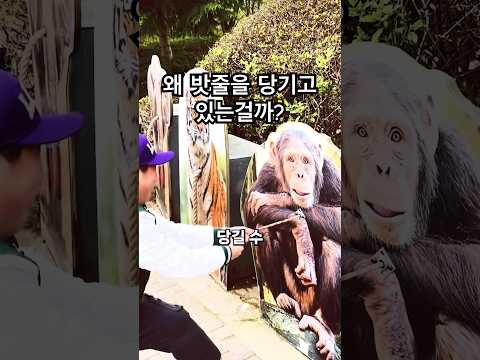 이 동물원은 동물들이 얼마나 강력한지 보여줍니다!