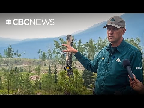 YouTube video thumbnail: Jasper, Parks Canada Bolster Fire Prevention Measures