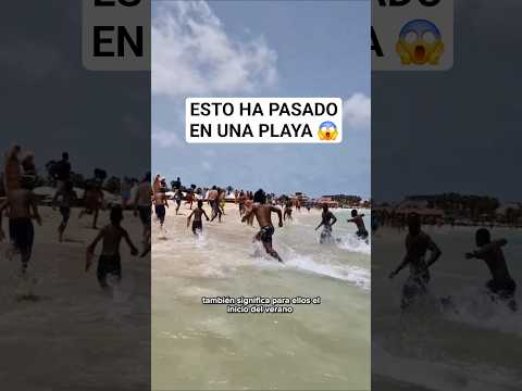 QUÉ LOCURA 😱 Esto ha pasado en la Isla de Sal en Cabo Verde, según me dicen pasa todos los años.