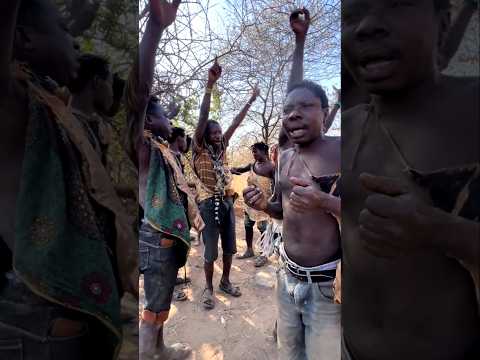 When a Honey Badger Enters in Adiwasi village #shortvideo