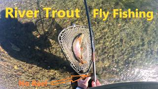 This setup makes Fly Fishing to Easy #keiryu #tenkara #flyfishing #outdoors #nature #subscribe #fish