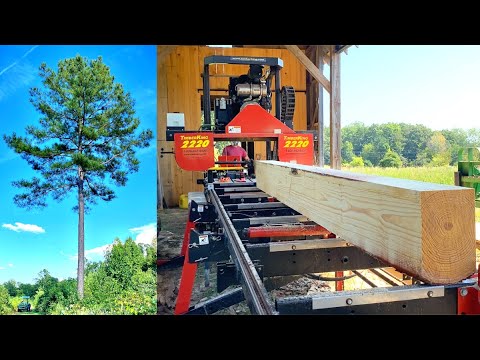 Cutting down TREES for the Sawmill