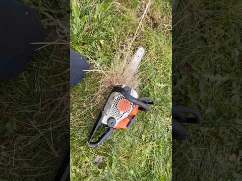 STIHL - MS 180 після роботи