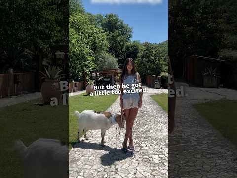 Fit check with a goat