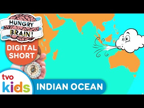 HUNGRY BRAIN 🧠 5 Facts About The INDIAN OCEAN 🌊 TVOkids!