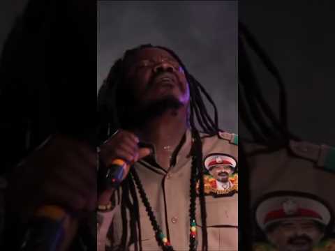 Luciano ☆ For The Leaders [2013]