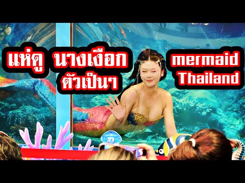 มหาชัย ช็อก แห่ดู #นางเงือก ตัวเป็นๆ #mermaid