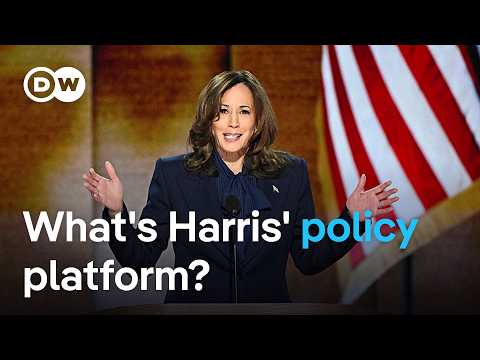 Key takeaways from Kamala Harris' speech at the DNC | DW News