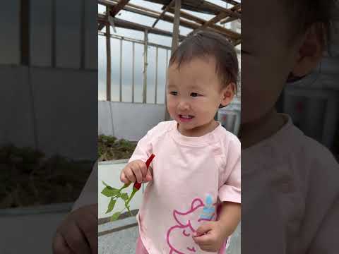 Who knew the baby would react that way to chili peppers!๐ถ๏ธ๐ถ๏ธ๐ถ๏ธ๐ถ๐ป๐ถ๐ป๐ถ๐ป#cutebaby #kid #children