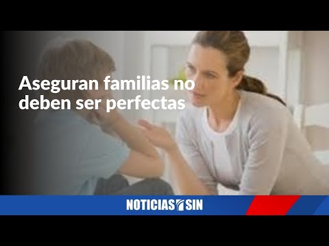 Familia funcional no se determina por ausencia de conflictos