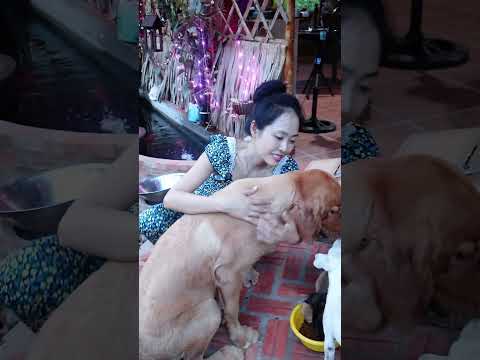 Đội quầni thiệt chứ
