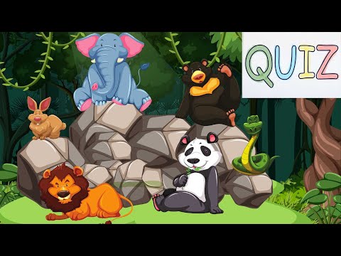 Quiz Sobre Animais