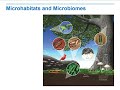 Ecological Concepts and Species Interactions