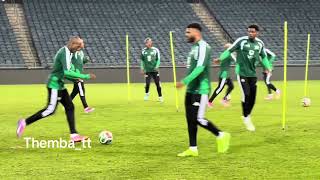 Bafana Bafana ball work