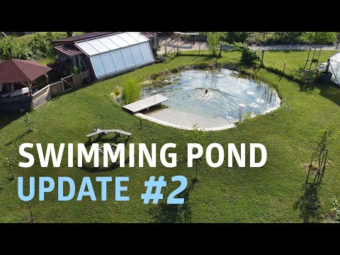 Two Year Swimming Pond Update