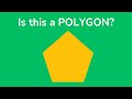 Understanding Polygons