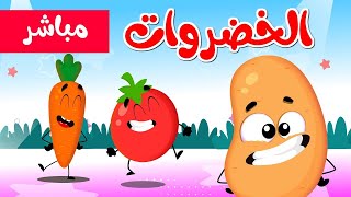 اغاني بيبي اغاني  اطفال قناة مشمش بيبي | بث مباشر | 🔴 Live