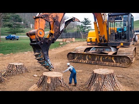 Dangerous Fastest Stump Removal Excavator Working, Powerful Heavy Woodworking Machines in Action