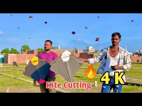 Kite Cutting In 4K HD 🔥 Kite Fighting from Ground