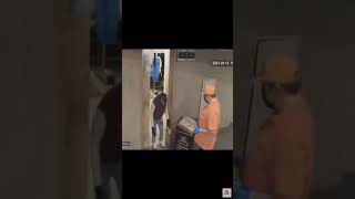 Monke orders pizza 😱😱😱🅱️🅱️🅱️