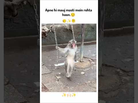 Apne hi mauj masti mein rehta hon🙂‍↔️!! #animals #ytshorts #shorts #youtubeshorts #funny #viralshort