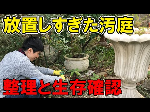【汚庭】庭を放置しすぎた結果、大変なことに！？荒れたお庭の整理と生存確認を開始！【園芸】【ガーデニング】