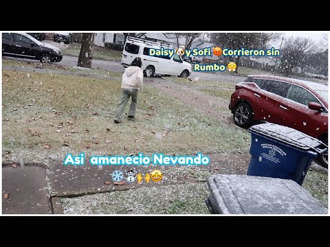 LA PRIMERA NEVADA ❄️☃️DEL AÑO EN DALLAS TX 😱 SE CANCELARON LAS CLASES 🏫