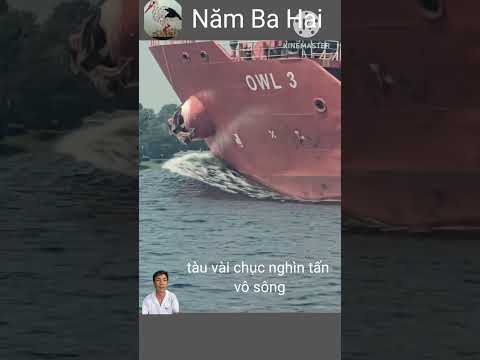 Vô sông nhỏ mà tàu chạy tốc độ quá cao