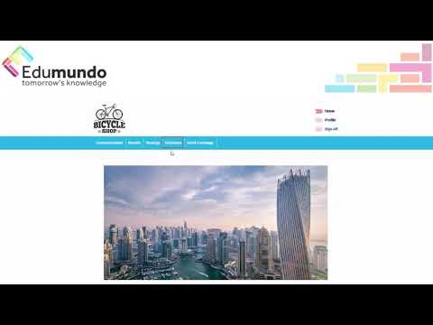 Emerging Markets management simulation