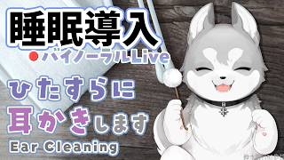 🛑【Binaural/黒3Dio】本気で眠りたい人のためのじっくり奥まで耳かき 2026.4.23【にじさんじ/鈴木勝】