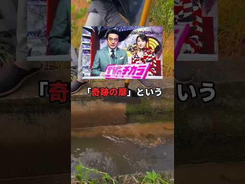 テレビ番組で解決した行方不明事件とは