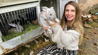 Life in Ukrainian Countryside: Something New on Our Farm!🇺🇦