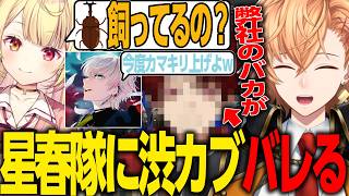 【APEX LEGENDS】星春隊コラボで”渋谷カブ”の存在がバレ、爆笑される渋ハル【渋谷ハル/星川サラ/BobSappAim/にじさんじ/
