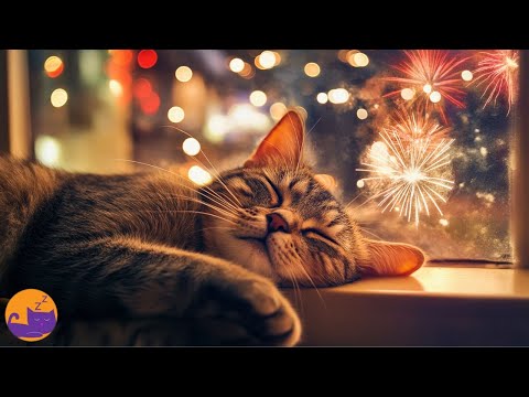 Protect Your Cat from NYE Noise Anxiety - Firework Relief Music! 🎆