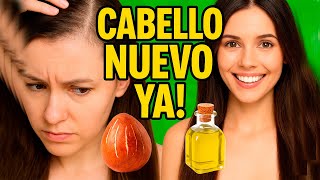Haz CRECER tu CABELLO con semilla de aguacate