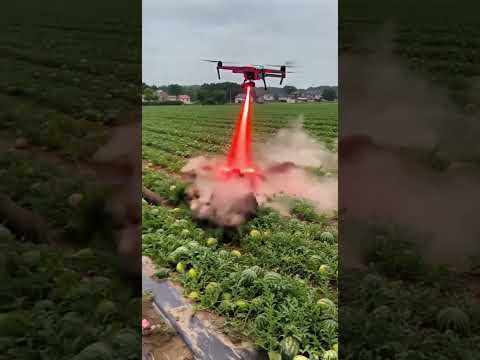 Drone to kill harmful pigs #villagelife#smartfarming #rurallife #farmingtraditions#farming101